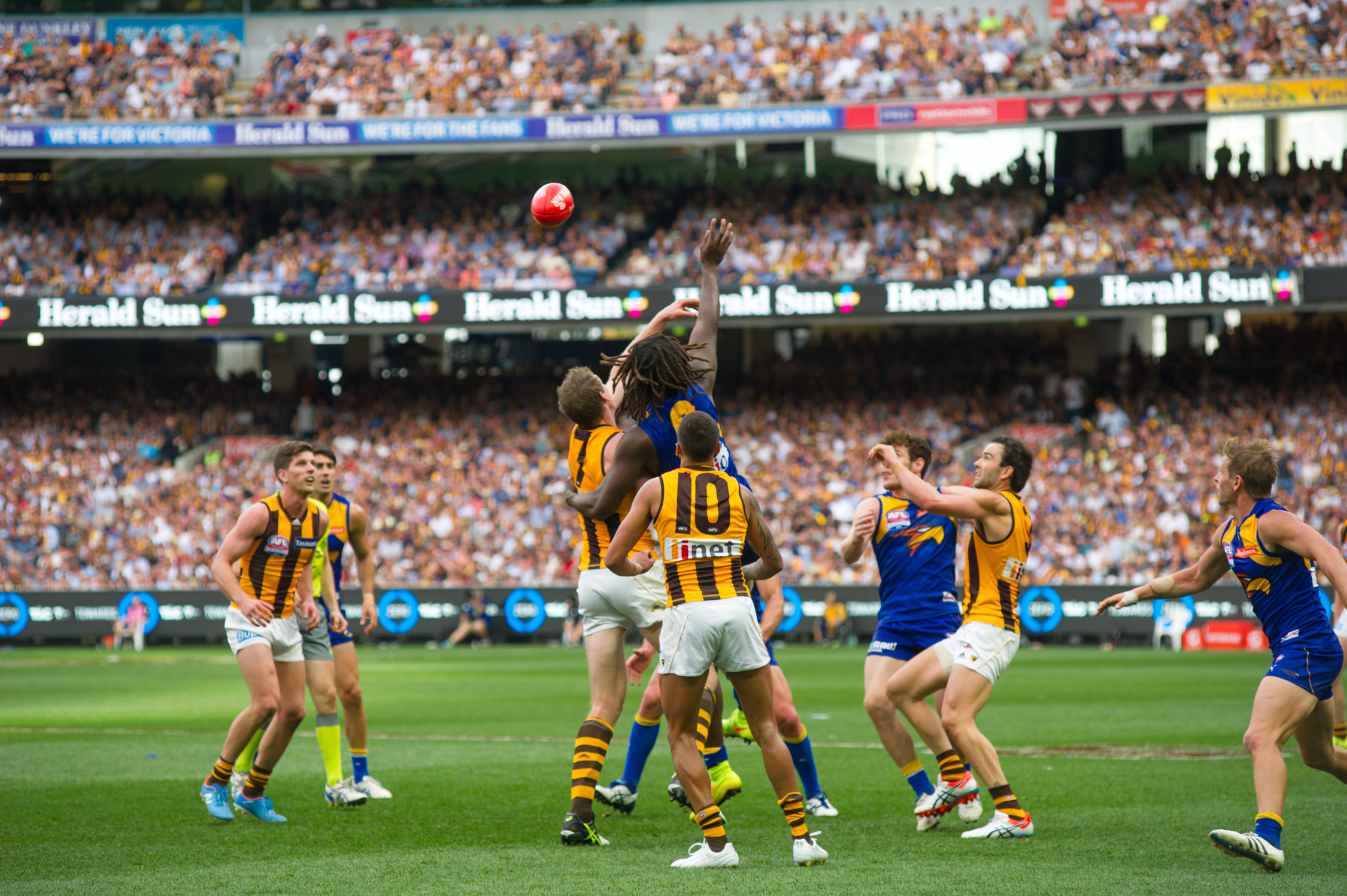 The Hawks and Eagles do battle in the 2015 AFL Grand Final