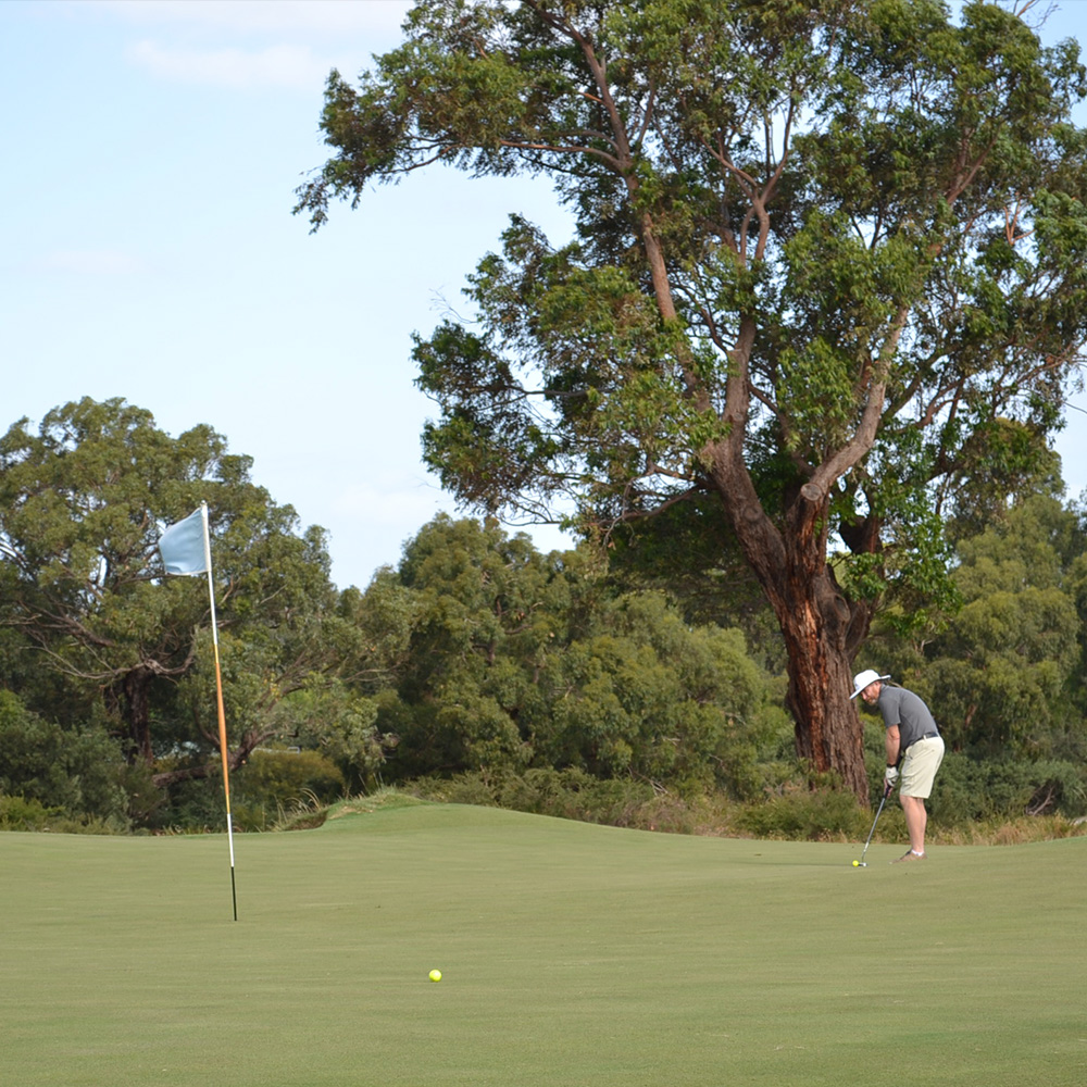 Golf Day
