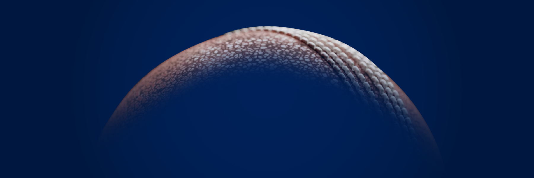 2025 MCC Library Cricket Series