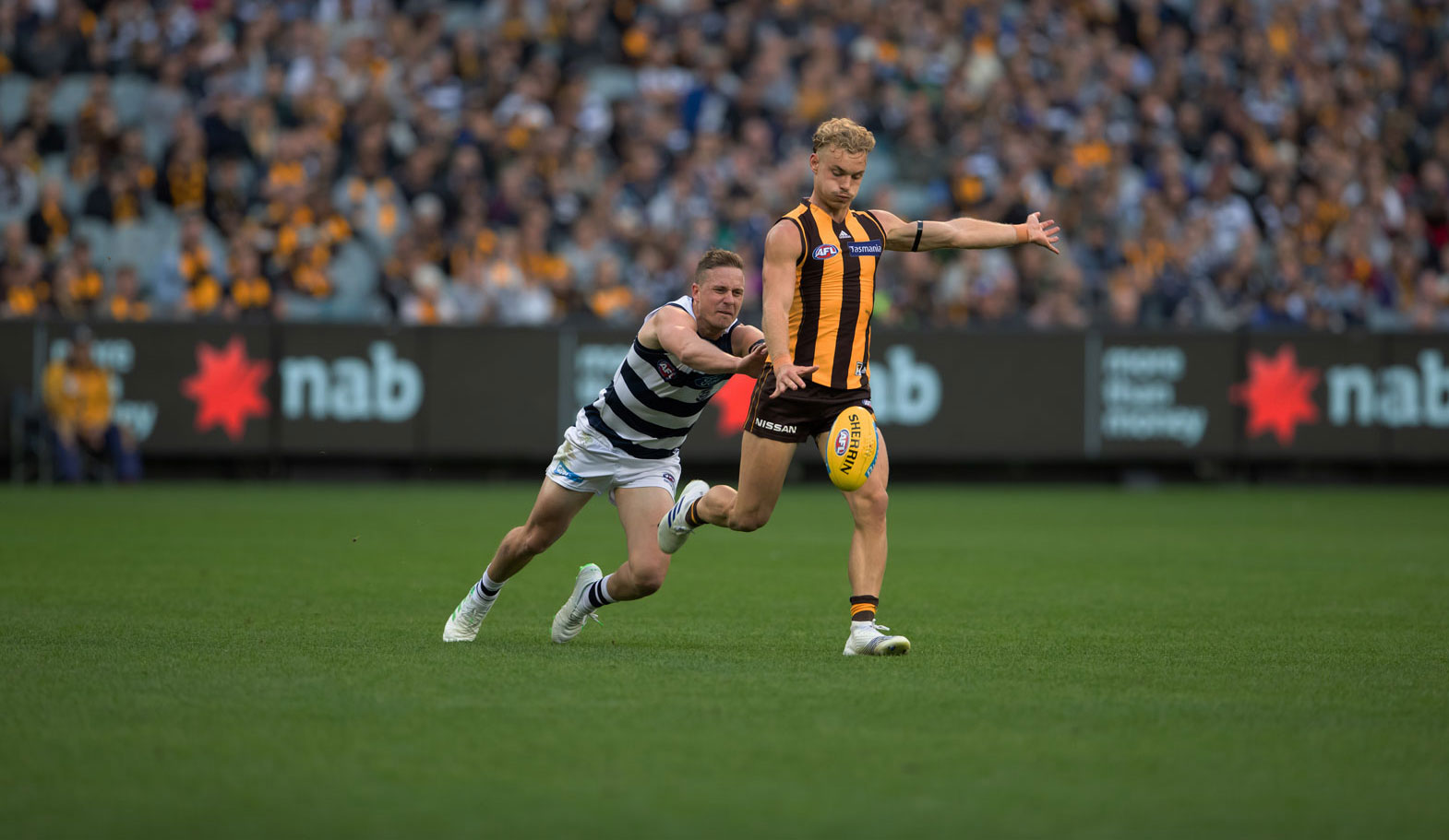 Hawthorn at the MCG in 2019