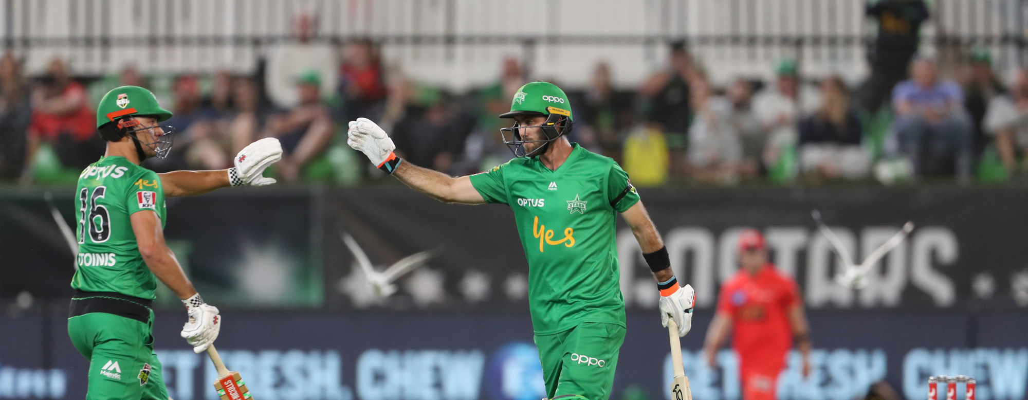 BBL 2019