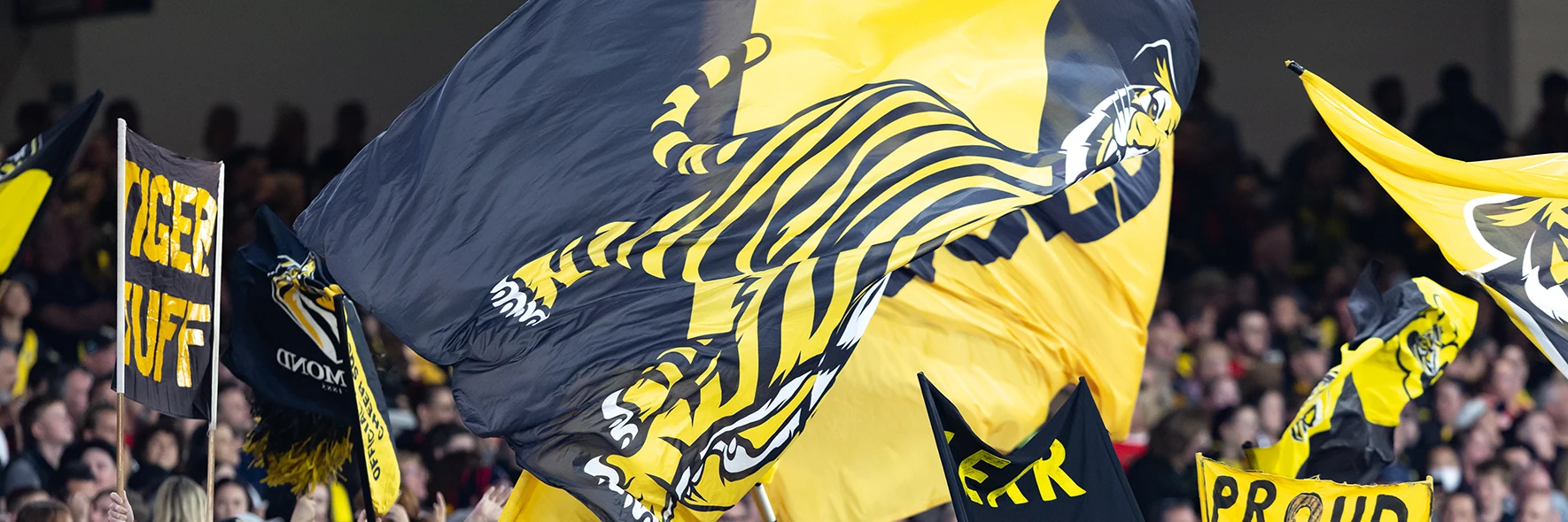 Richmond Football Club cheer squad wave tiger flags