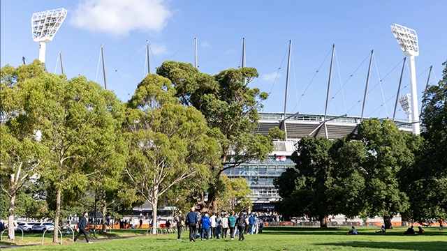 A view of Gate 2 of the MCG from Yarra Park A view of Gate 2 of the MCG from Yarra Park