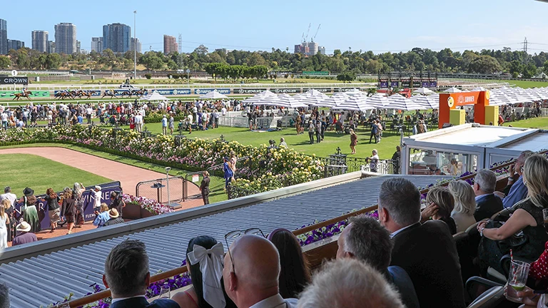 Trackside balcony seating at Flemington Racecourse
